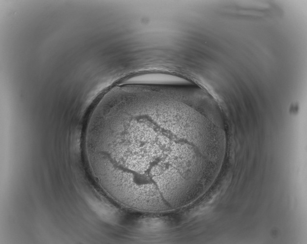 X0000092030299200709131625