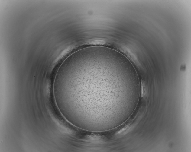 X0000092030300200709131625