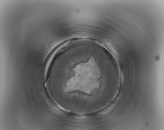 X0000092030301200709131625