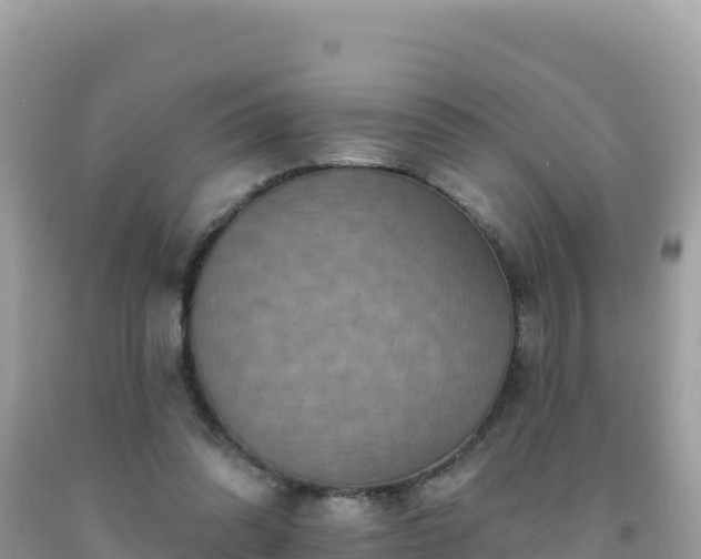 X0000092030302200709131625