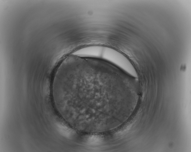 X0000092030303200709131625