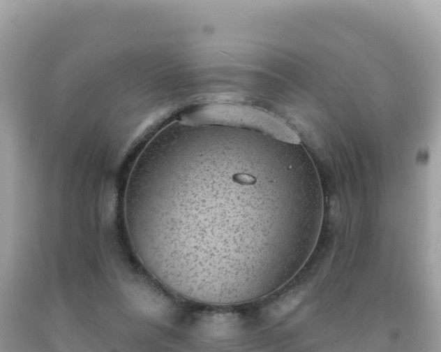 X0000092030304200709131625