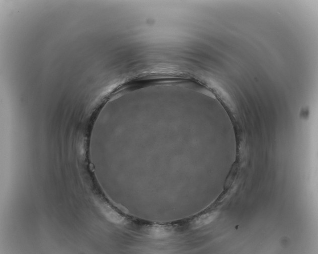 X0000092030305200709131625