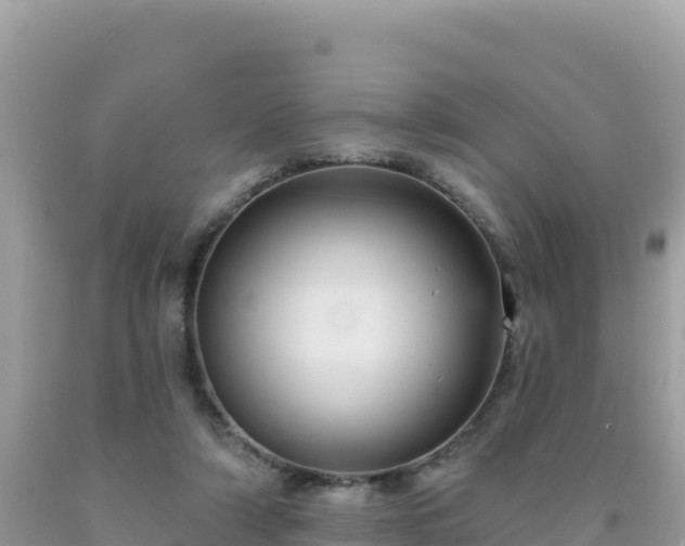 X0000092030306200709131625