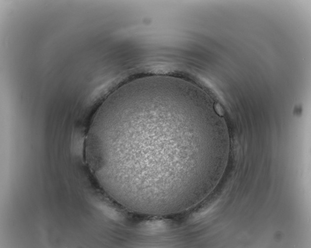 X0000092030307200709131625