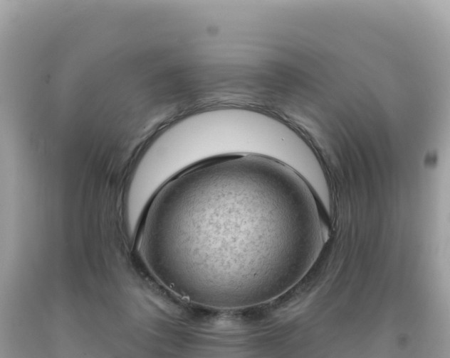 X0000092030308200709131625