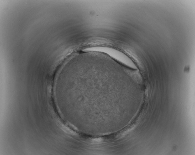 X0000092030309200709131625