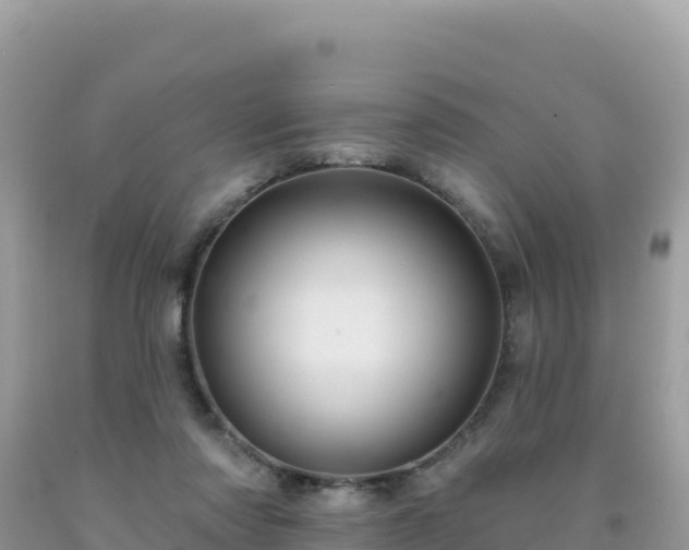 X0000092030310200709131625