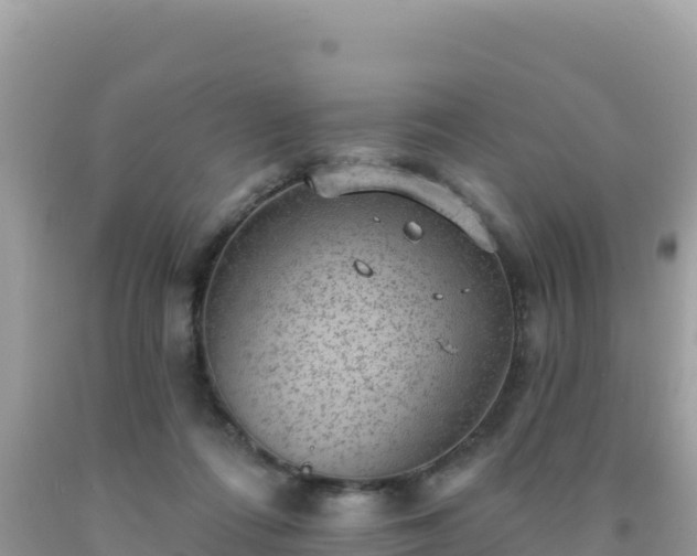 X0000092030312200709131625