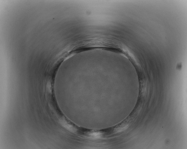 X0000092030313200709131625