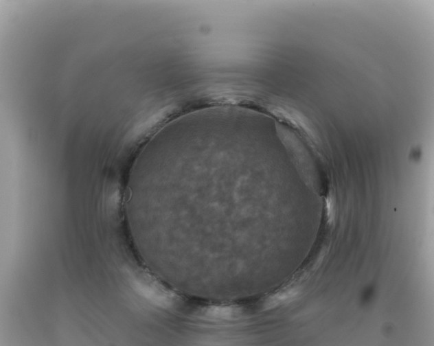 X0000092030314200709131625