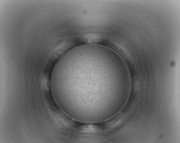 X0000092030316200709131624