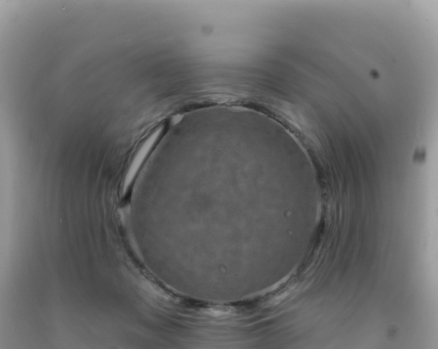 X0000092030317200709131624