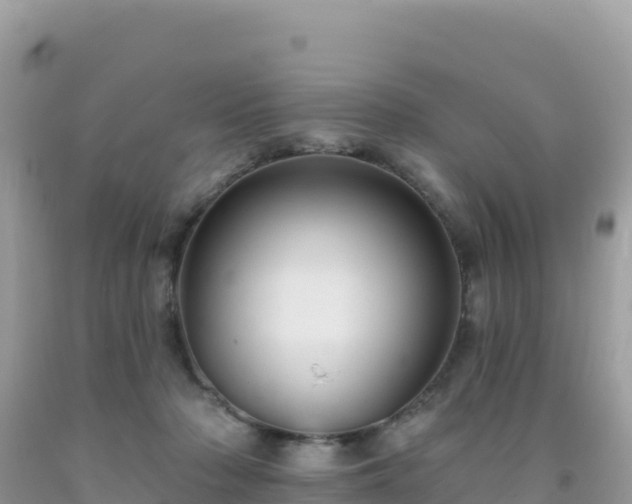 X0000092030318200709131624