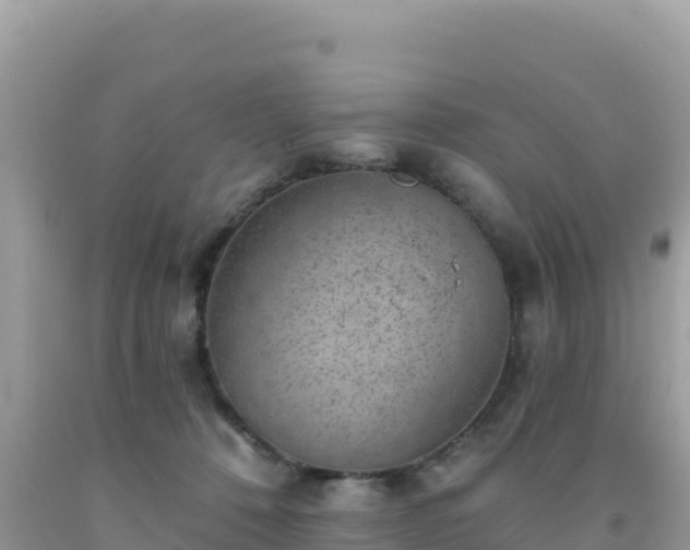 X0000092030320200709131624