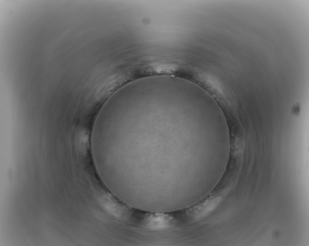 X0000092030321200709131624