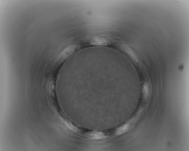 X0000092030322200709131624