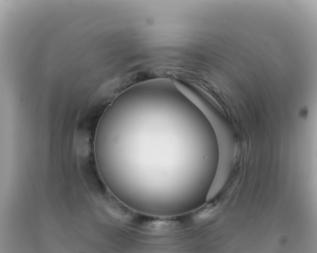 X0000092030323200709131624