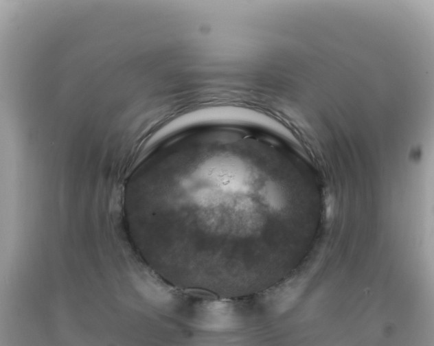 X0000092030325200709131624