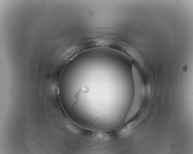 X0000092030329200709131624