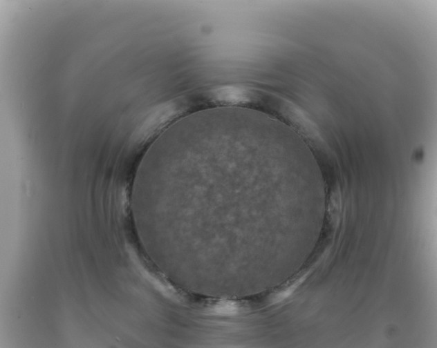 X0000092030330200709131624