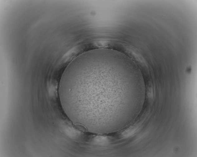 X0000092030332200709131624