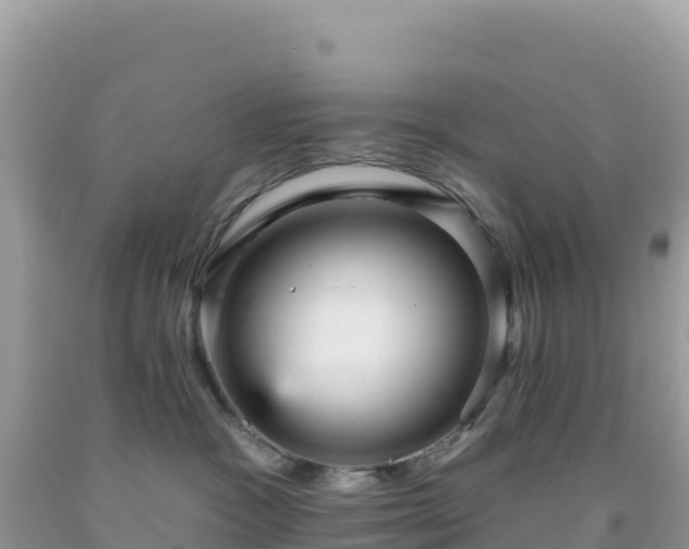 X0000092030333200709131624