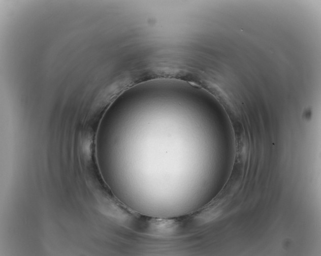 X0000092030334200709131624