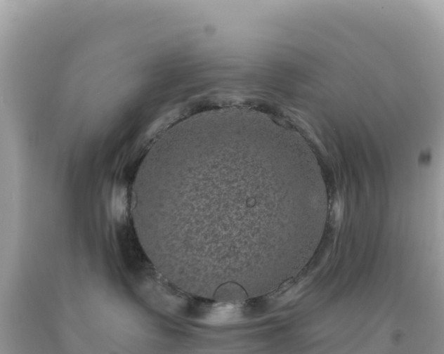 X0000092030335200709131624