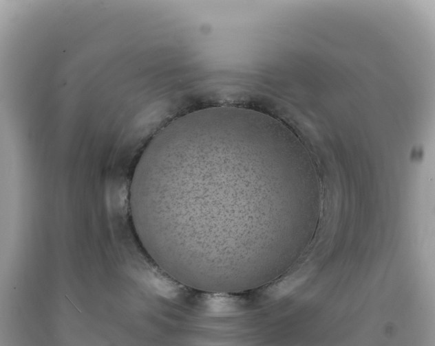 X0000092030336200709131624