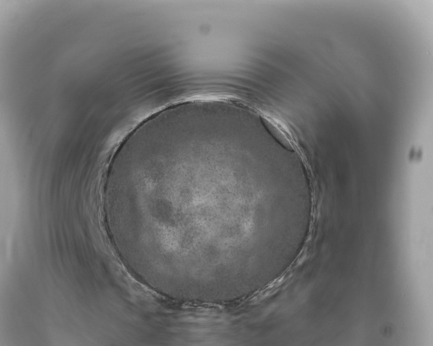 X0000092030337200709131624