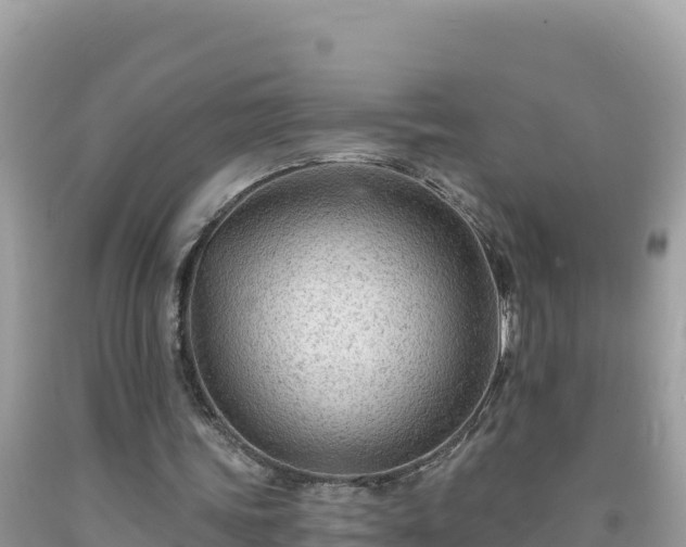 X0000092030339200709131624