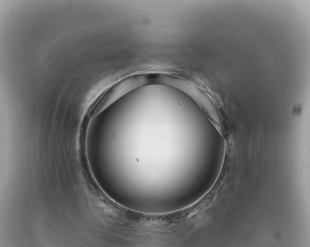 X0000092030340200709131624