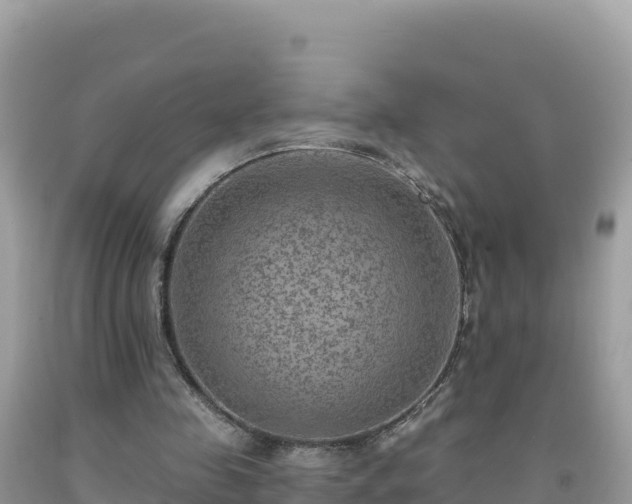 X0000092030341200709131624