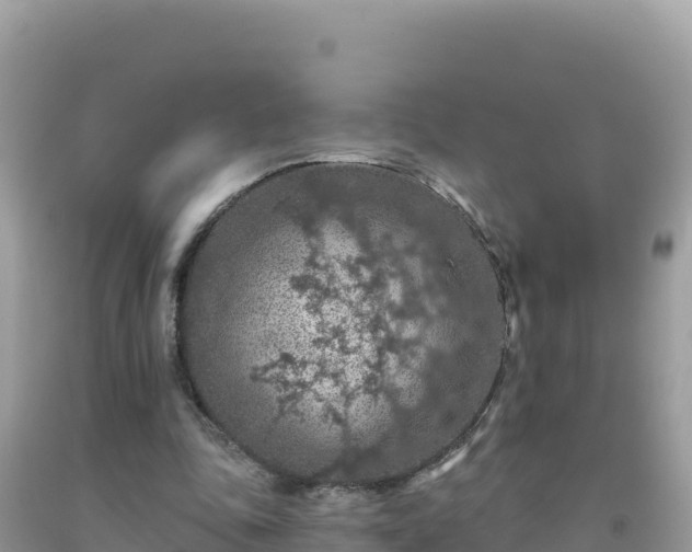 X0000092030343200709131624