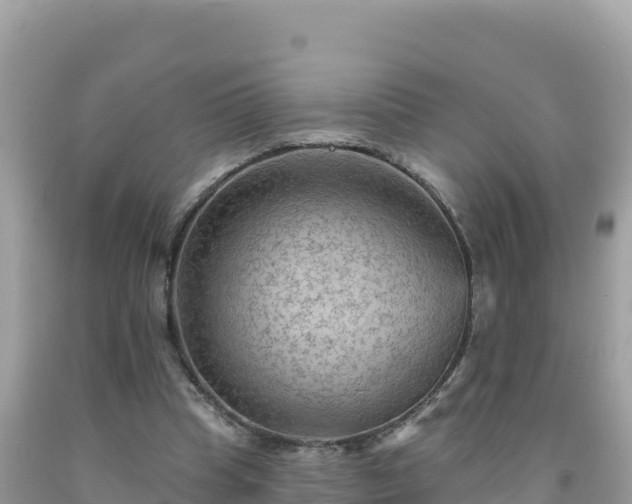 X0000092030345200709131624