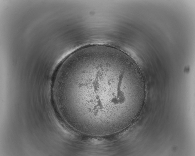 X0000092030346200709131624