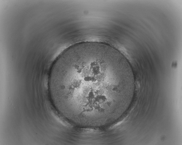 X0000092030347200709131624