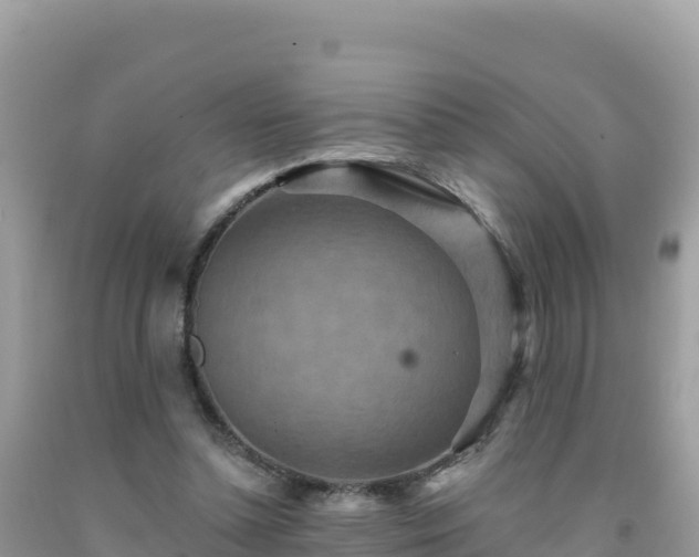 X0000092030348200709131624