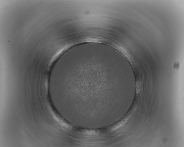 X0000092030349200709131624