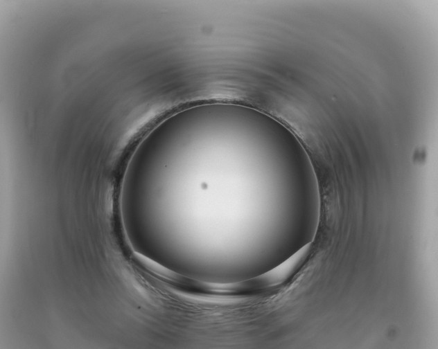 X0000092030350200709131624