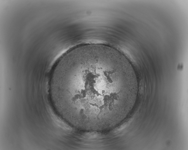 X0000092030351200709131624