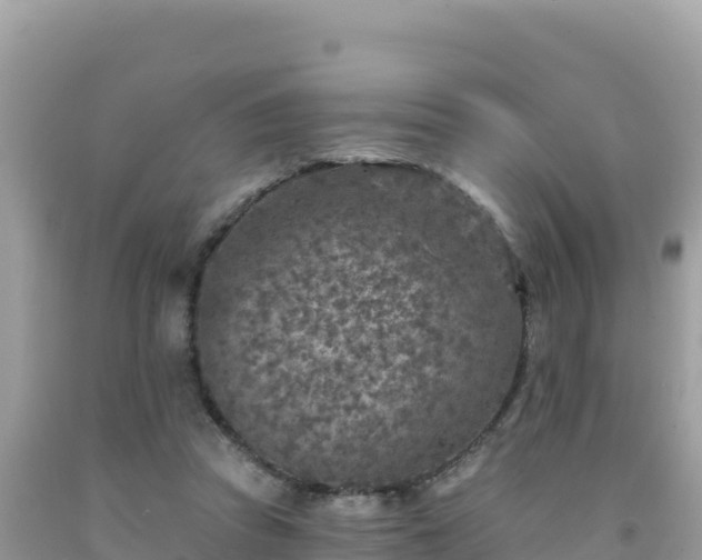 X0000092030353200709131624