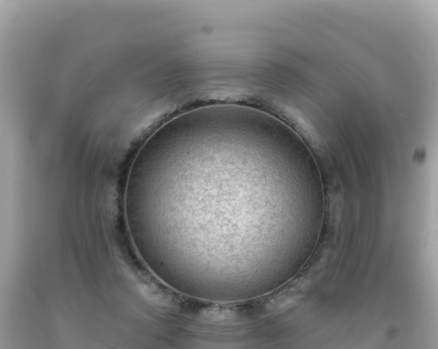 X0000092030354200709131624