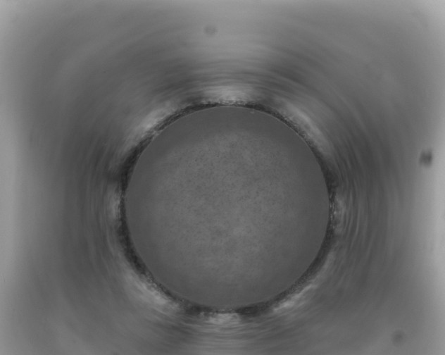 X0000092030355200709131624