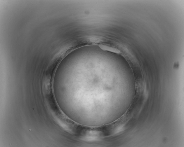 X0000092030360200709131624