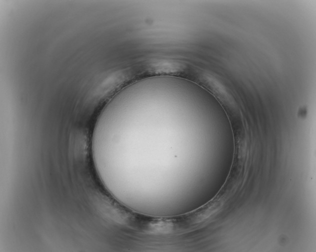 X0000092030362200709131624