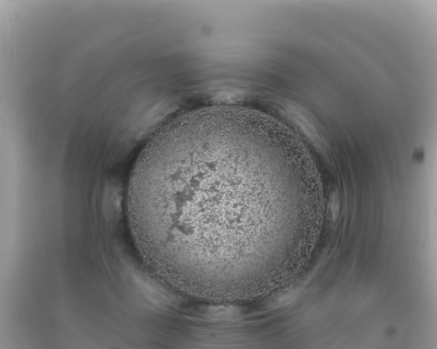 X0000092030363200709131624