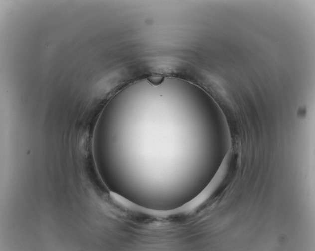 X0000092030364200709131624