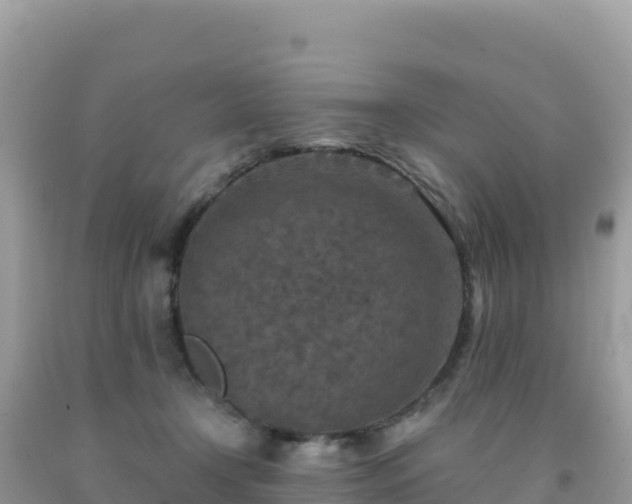 X0000092030366200709131624